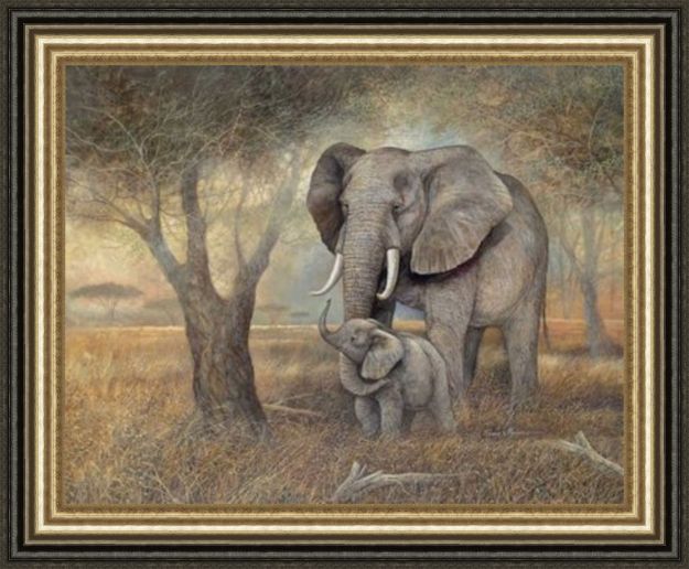 Picture of Gentle Touch