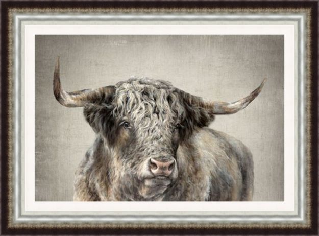 Picture of Grand Kyloe Bull
