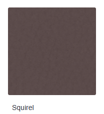 Squirel